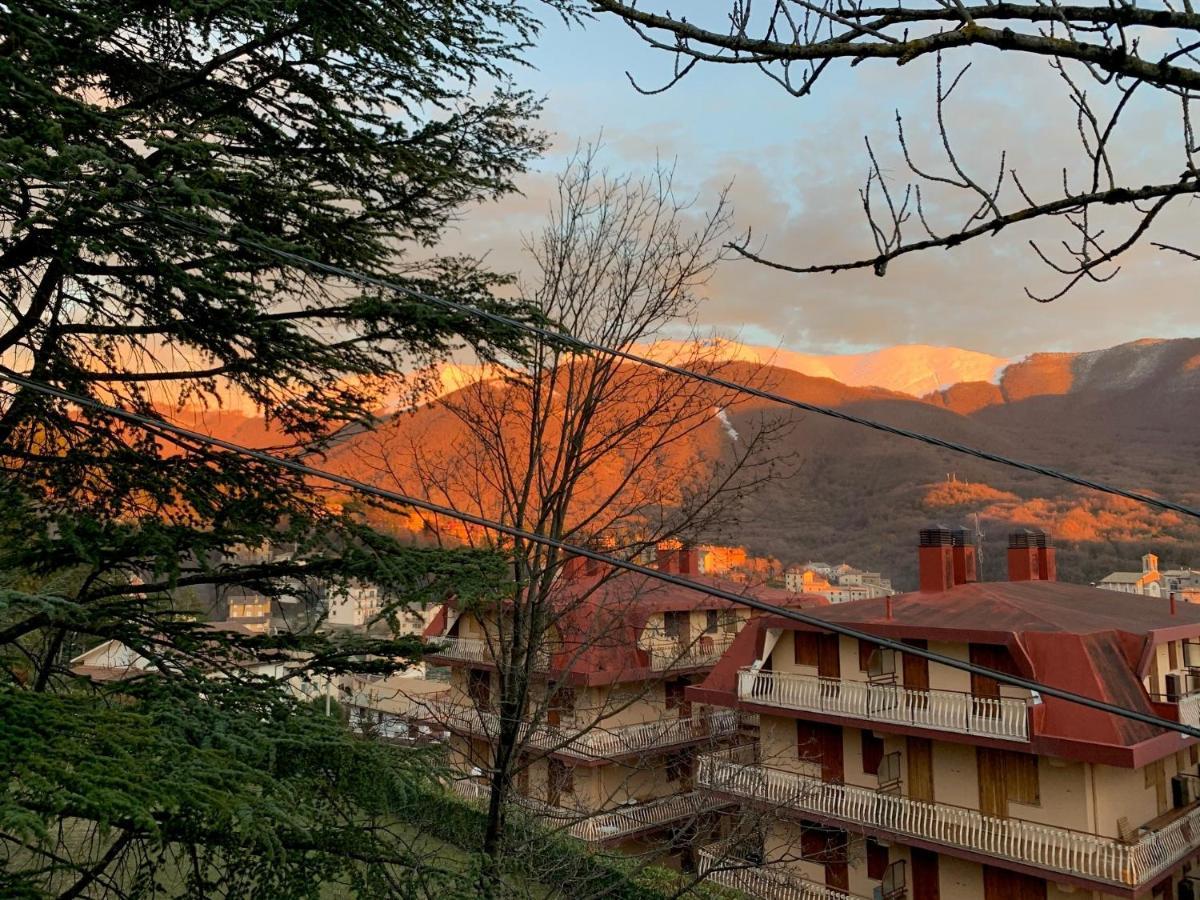 Esclusivo Chalet Immerso Nel Verde Filettino Exterior foto